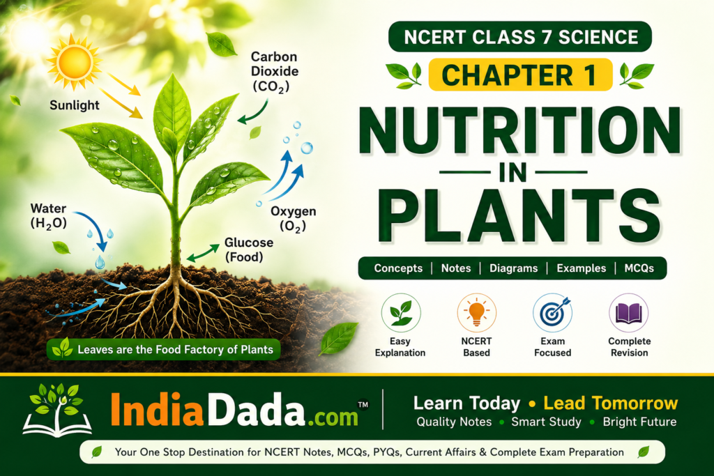 NCERT Class 7 Science Chapter 1 Notes